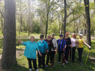 В столице Приамурья отметят День скандинавской ходьбы