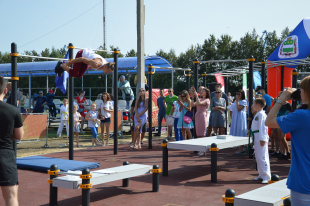 40% амурчан регулярно занимаются физкультурой и спортом: Дмитрий Кутека доложил губернатору Василию Орлову об использовании спортивной инфраструктуры на территории области 