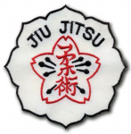 17-18 апреля. Всероссийские спортивные соревнования по джиу-джитсу среди мужчин и женщин, юниоров и юниорок 2004-2005 г.р.