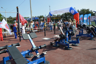 Три малые спортивные площадки ГТО оборудуют в Приамурье в этом году
