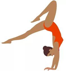 22-24 декабря. Открытый чемпионат и первенство Амурской области по спортивной гимнастике, посвященные памяти Е.И. Васильева