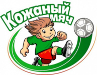 Региональный этап Всероссийских соревнований по футболу на призы клуба "Кожаный мяч-2019" среди юношей 2006-2007 г.р.