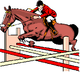 Объявление государственной аккредитации общественных организаций для наделения их статусом региональной спортивной федерации по виду спорта «конный спорт»