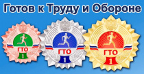 Всероссийский фестиваль ГТО: установлено 15 новых рекордов