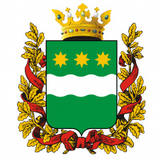 Спортивные НКО приглашают принять участие в конкурсе на предоставление грантов губернатора Амурской области на развитие гражданского общества