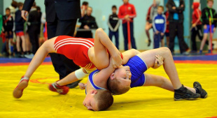 02 - 04 ноября. XXI Дальневосточный турнир по вольной борьбе среди юношей, посвященный памяти Заслуженного тренера России Б.Н.Веселова